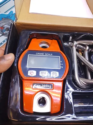 Professional Crane Weighing Scale/300kgs Crane Weighing Scale