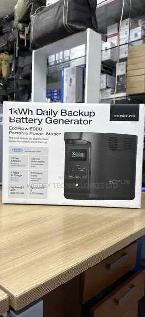 EcoFlow E980 1kWh Daily Backup Battery Generator - UPS