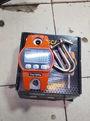 Durable 300kgs Crane Weighing Scale /300kgs Crane Scale