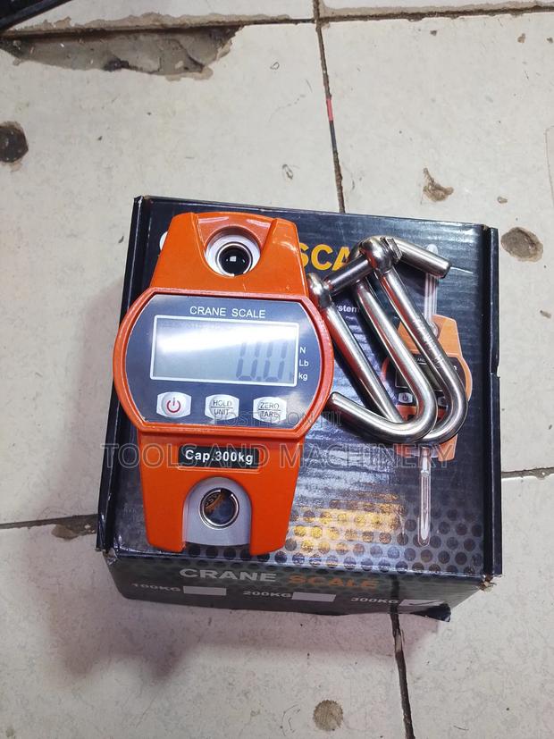Durable 300kgs Crane Weighing Scale /300kgs Crane Scale