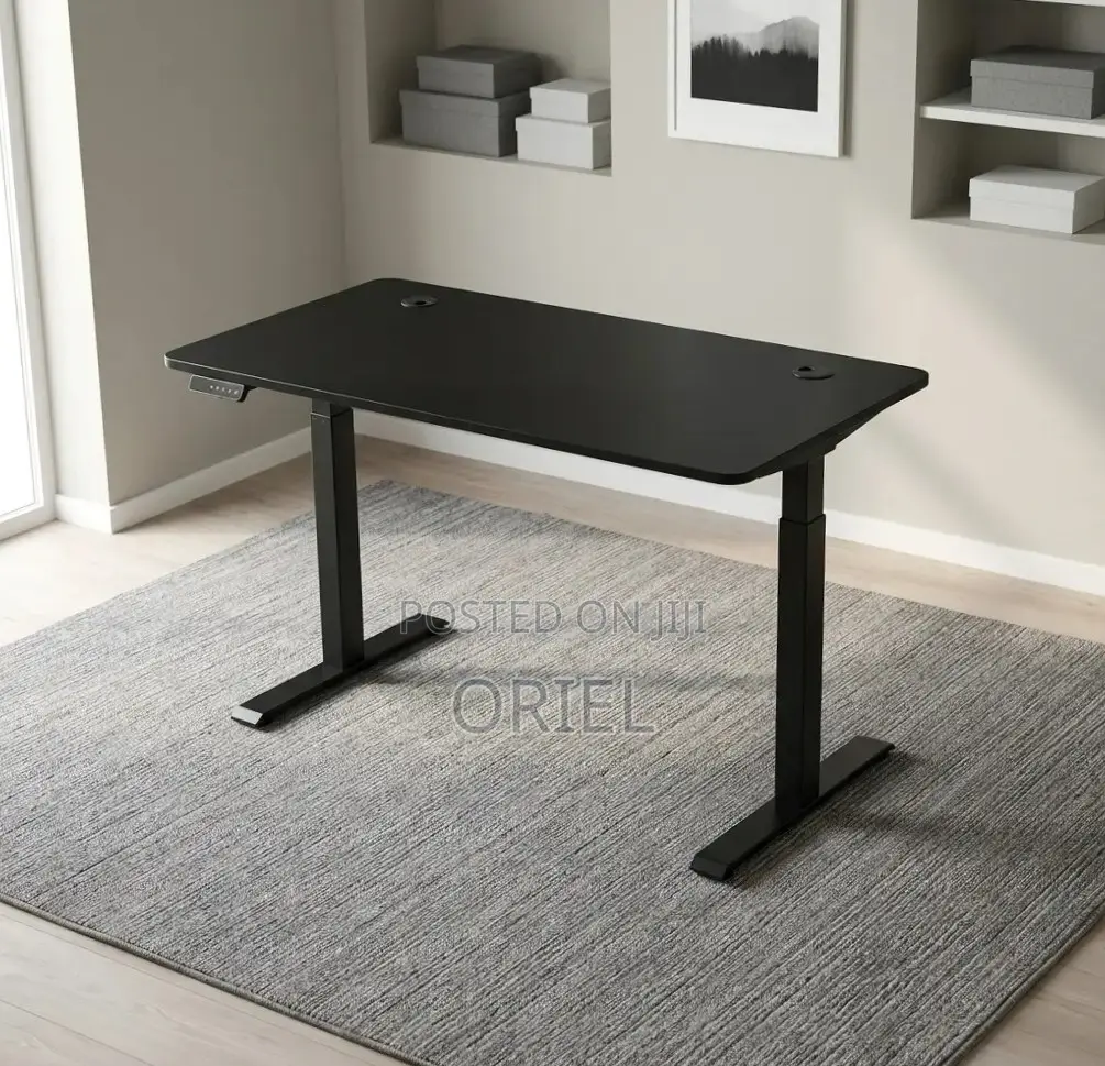 Office Computer Desk : Black Adjustable Electric Desk