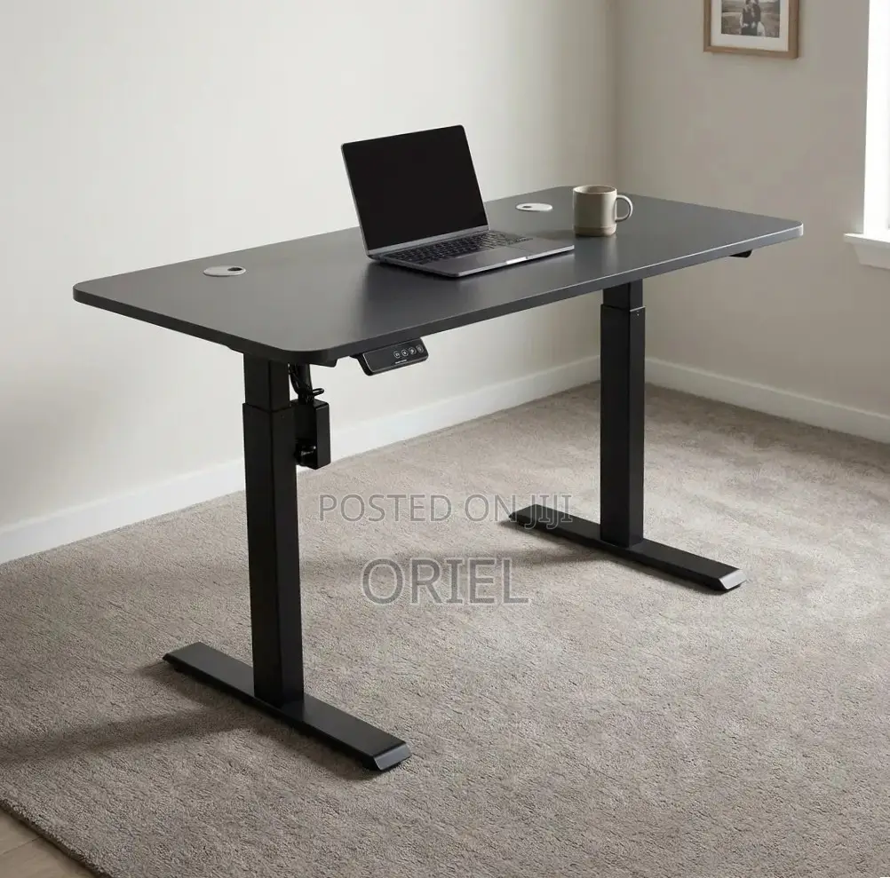 Office Computer Desk : Black Adjustable Electric Desk