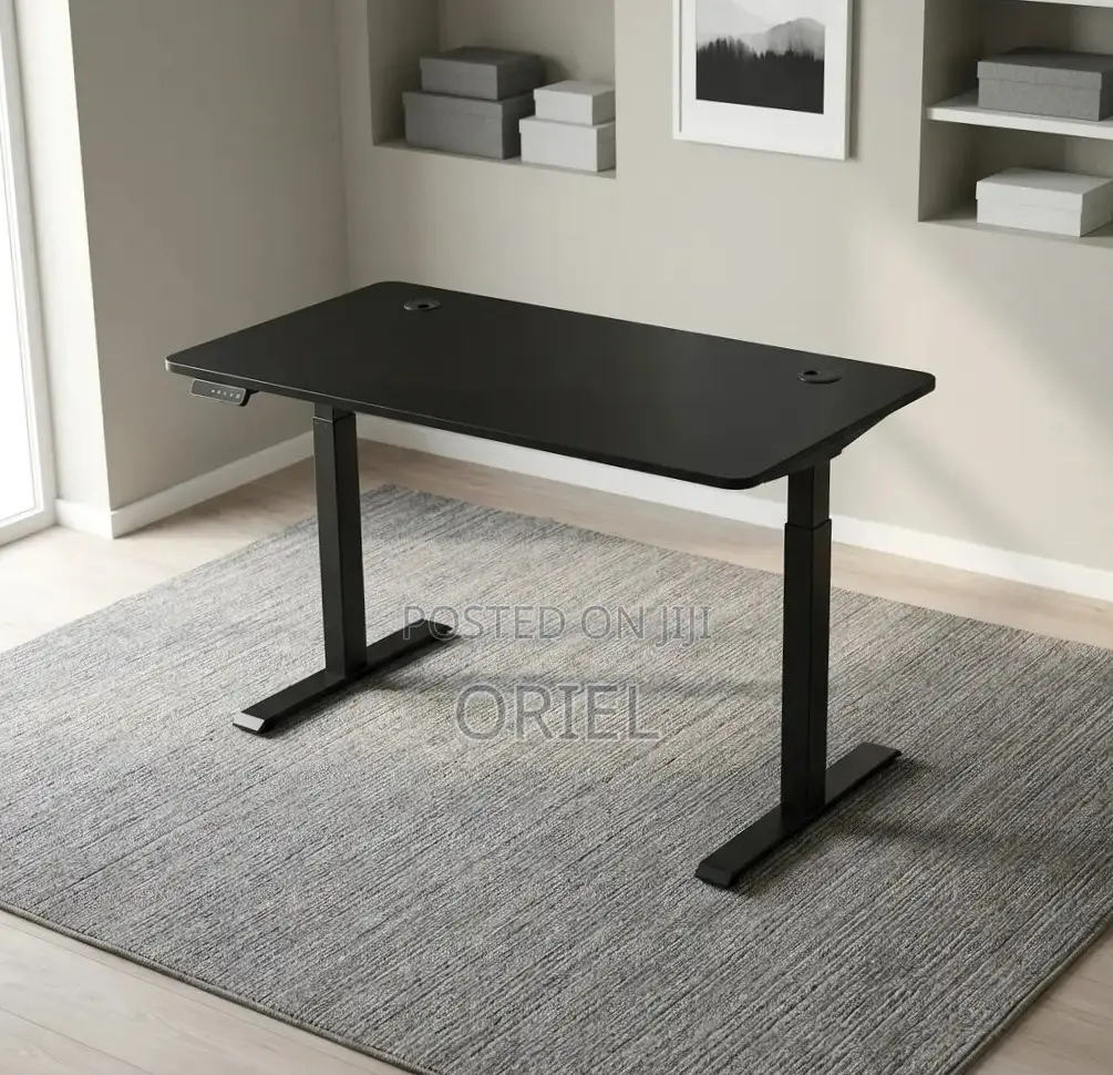 Office Computer Desk : Black Adjustable Electric Desk