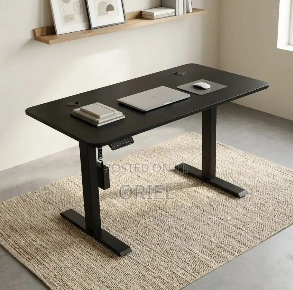 Office Computer Desk : Black Adjustable Electric Desk