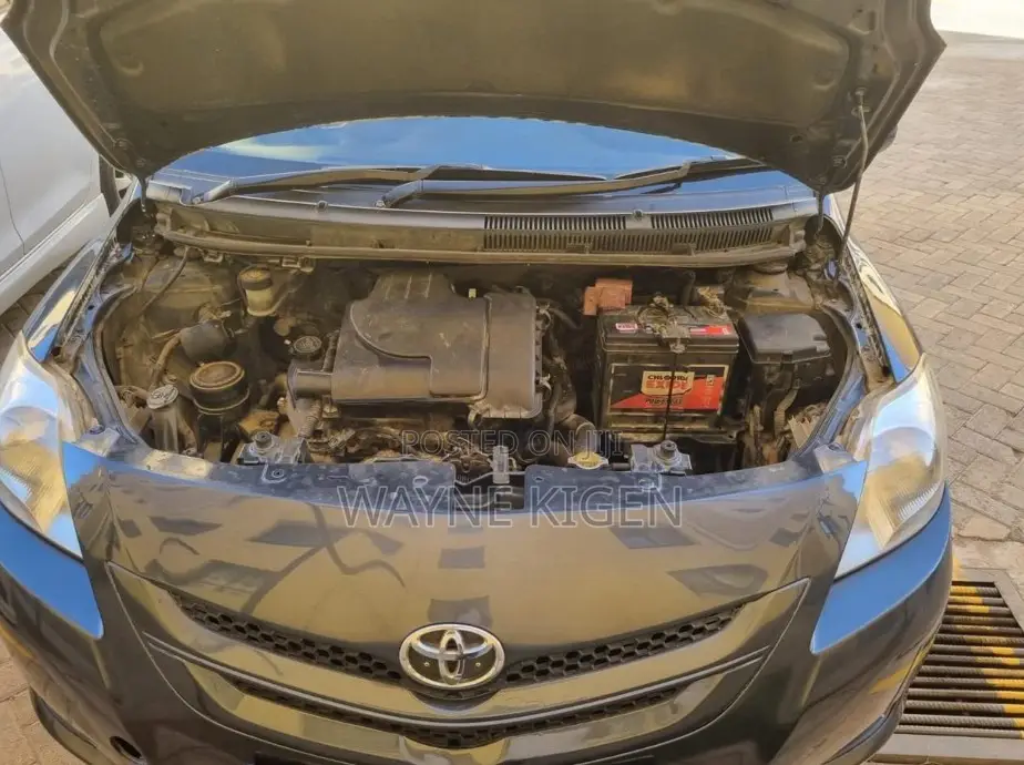 Toyota Belta 2010 Gray