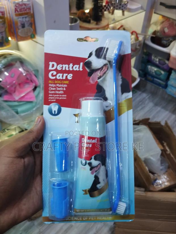 Dog Toothbrush and Toothpaste