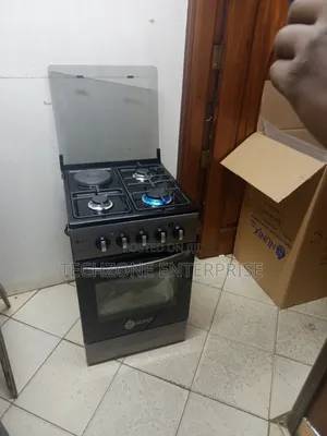 New Model 50*55cm Nunix 3G+1E Standing Cooker 