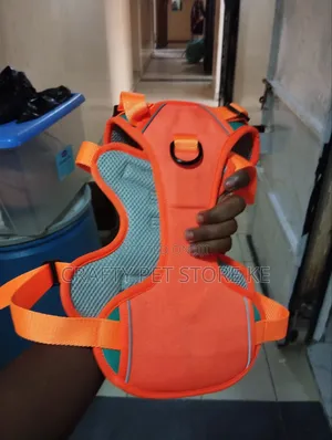 Fancy Dog Harness