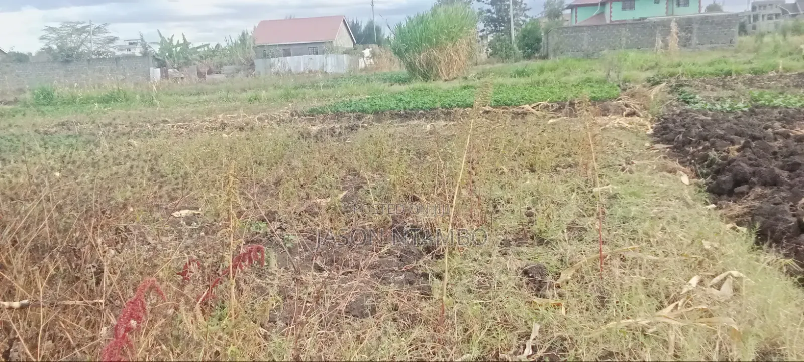 Mwihoko 50x100 Plot on M!