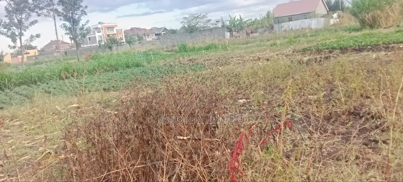 Mwihoko 50x100 Plot on M!