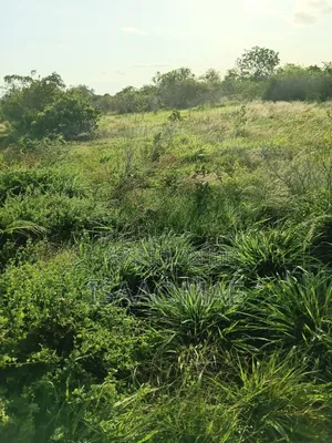 2 Acres for Sale With Ready Tittle Deed Per Acre