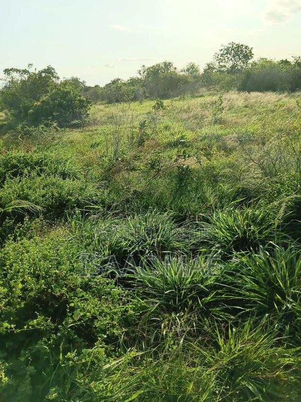2 Acres for Sale With Ready Tittle Deed Per Acre