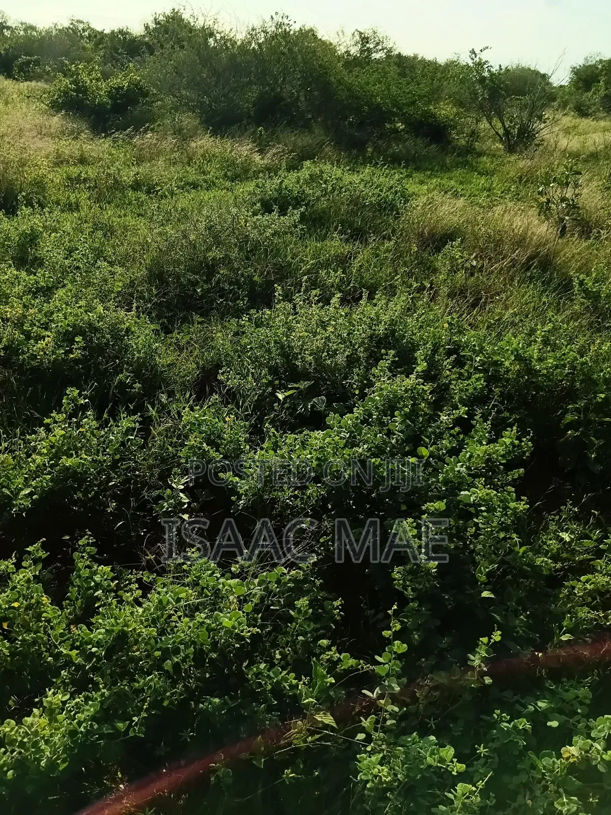 2 Acres for Sale With Ready Tittle Deed Per Acre