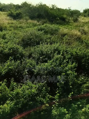 2 Acres for Sale With Ready Tittle Deed Per Acre