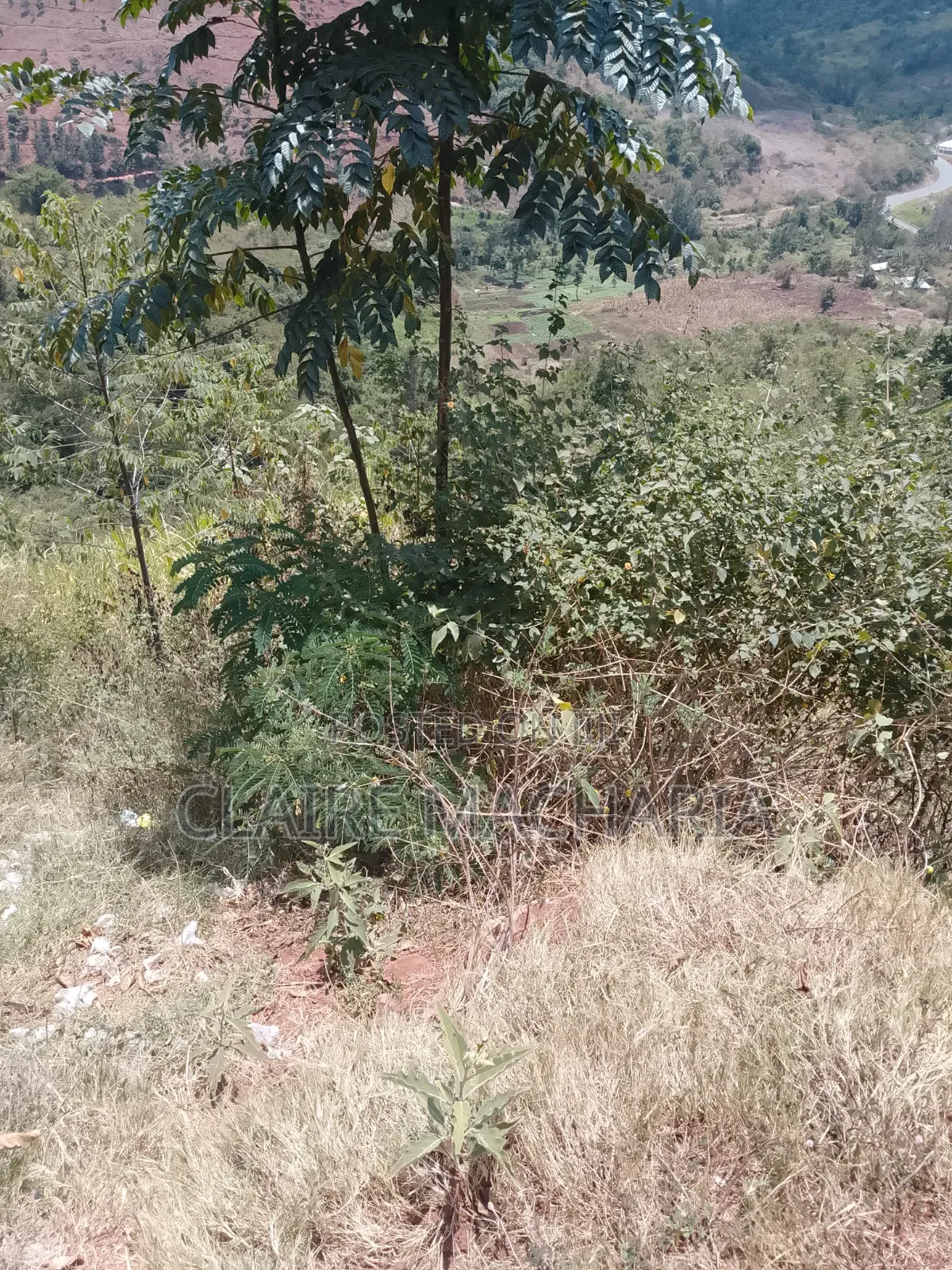 Kiharu Next to Edinburgh and Muranga University Along Mathioya River