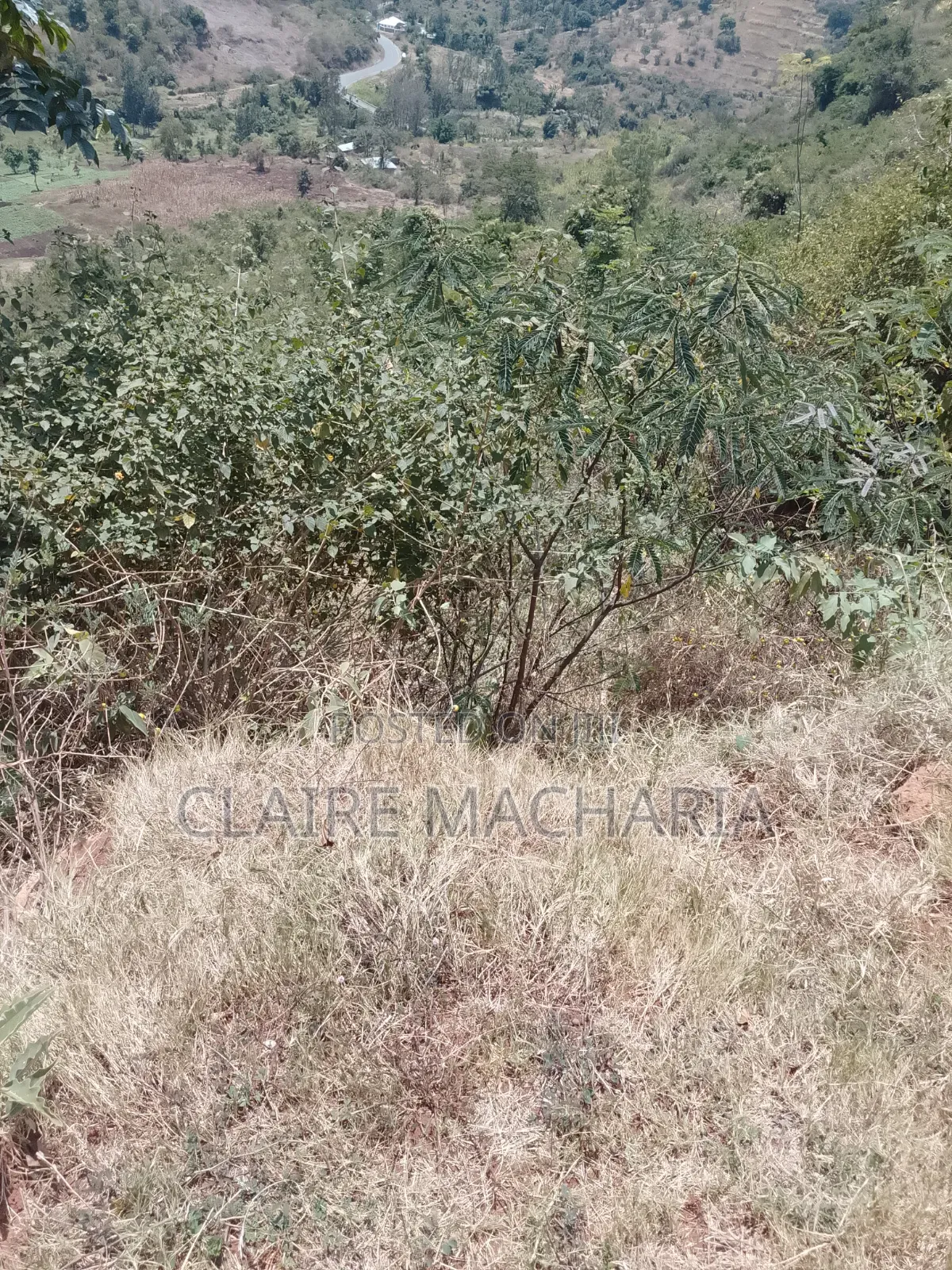Kiharu Next to Edinburgh and Muranga University Along Mathioya River