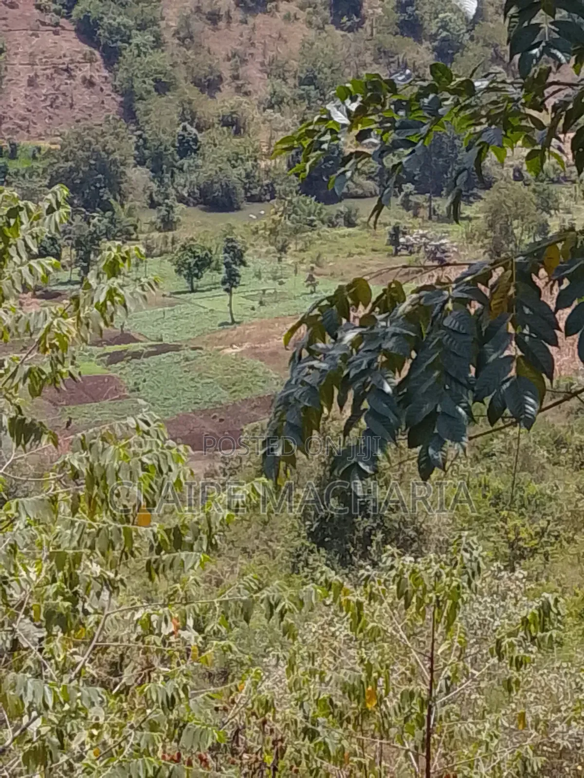 Kiharu Next to Edinburgh and Muranga University Along Mathioya River