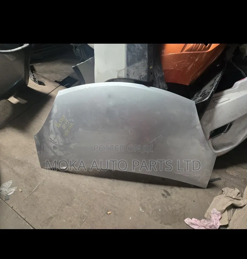 Passo 2012 Bonnet