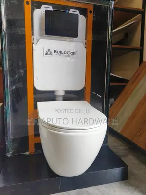 Concealed Toilet and Cistern