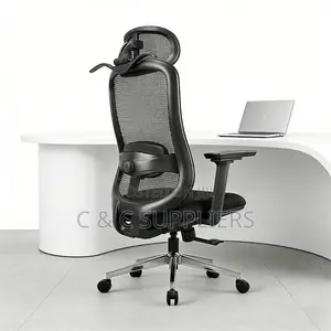 Executive Mesh Work Chair.