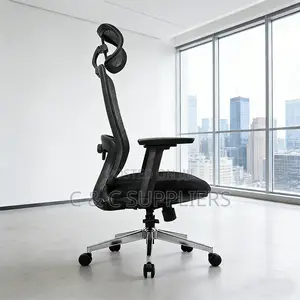 Executive Mesh Work Chair.
