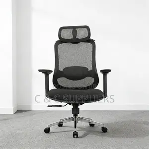 Executive Mesh Work Chair.