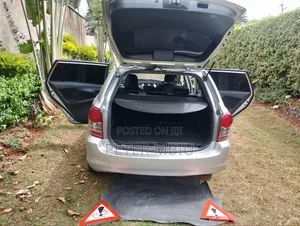 Toyota Corolla Fielder 2009 Silver