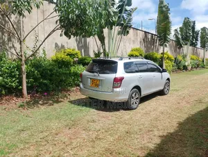 Toyota Corolla Fielder 2009 Silver