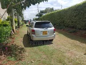 Toyota Corolla Fielder 2009 Silver