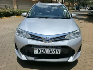 Toyota Corolla Fielder 2018 Silver
