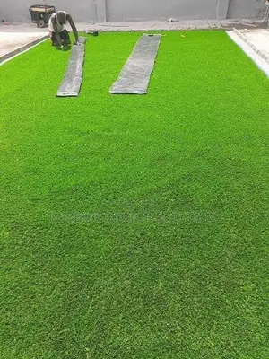 Grass Carpet / Turf Grass
