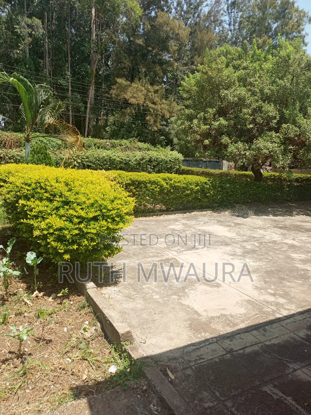 3bdrm Bungalow in Roysambu for sale