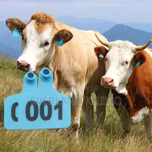 Numbered Medium Ear Tags for Animal Ownership Identification
