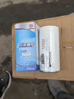 Oil Filter Sinotruck Howo 336,371,FawJ6,JK6 and Other Chinese Trucks
