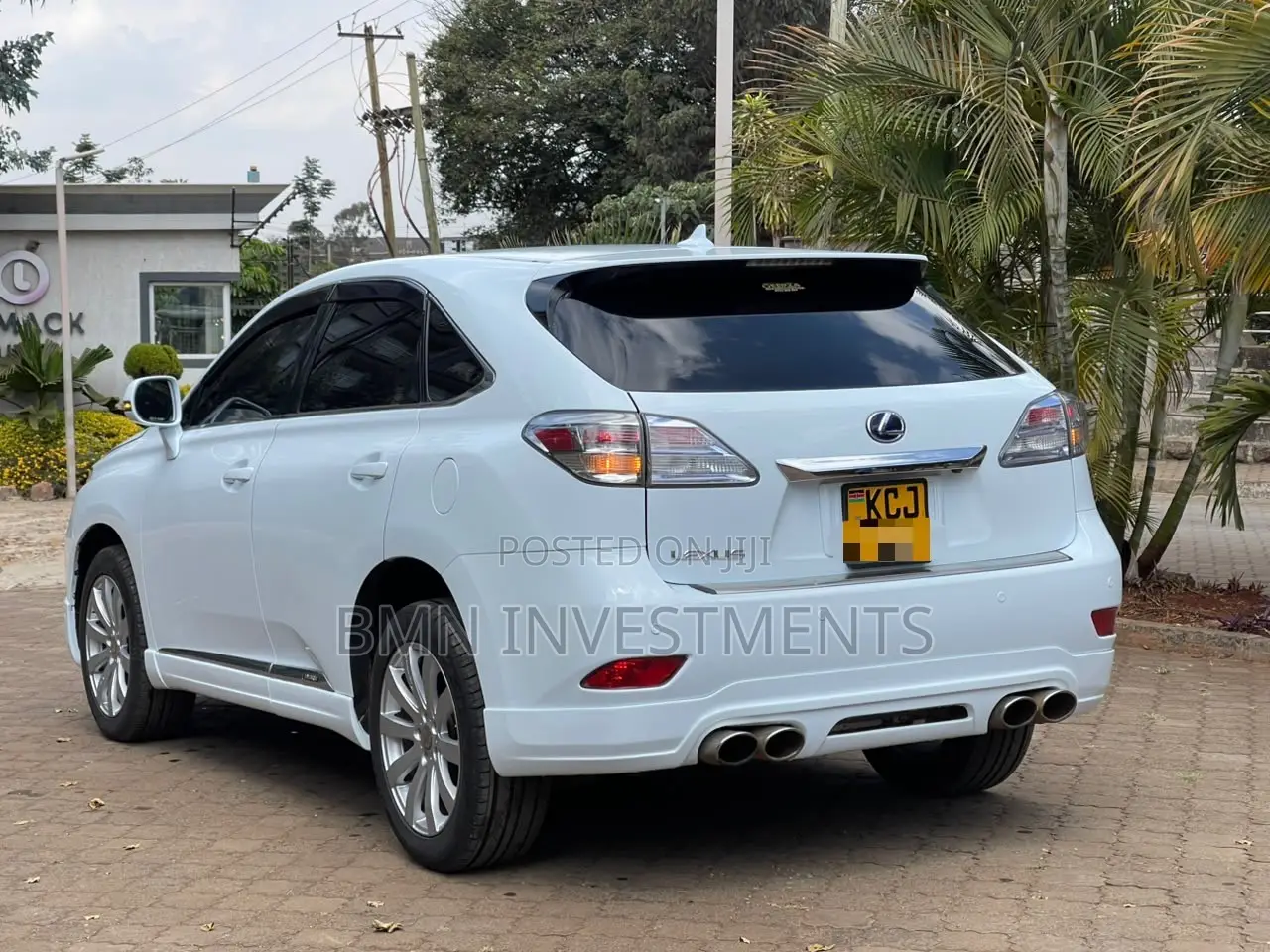 Lexus RX 450h 2010 Pearl