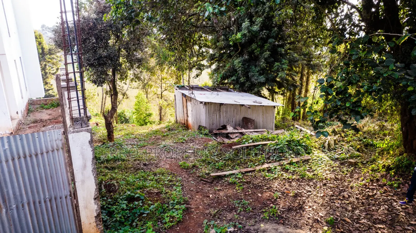 Prime Plot for Sale in Kikuyu Town
