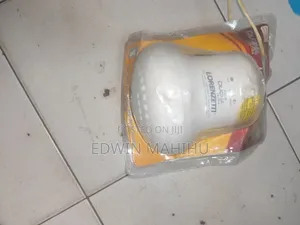 Original Lorenzeti Instant Shower