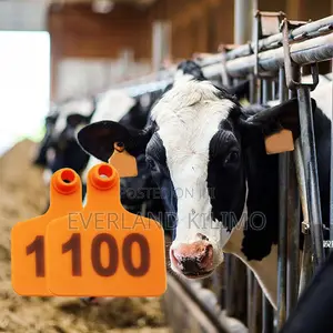 Orange Large Treatment Records Ear Tag for Cattles - Numbered