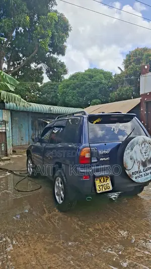 Toyota RAV4 1995 Blue