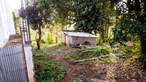 Prime Plot for Sale in Kikuyu Town