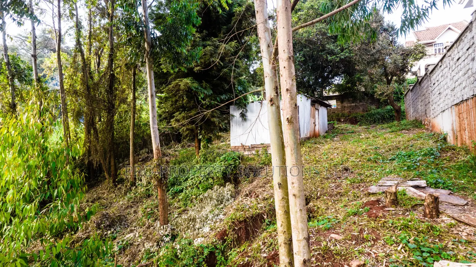 Prime Plot for Sale in Kikuyu Town