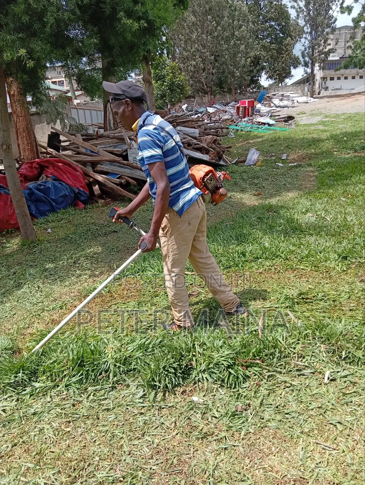 Landscaping and Gardening