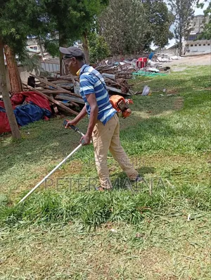 Landscaping and Gardening