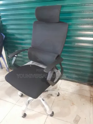 Orthopedic High Mesh Office Chair ~ Headrest