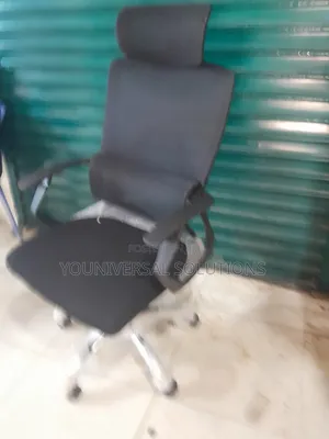 Orthopedic High Mesh Office Chair ~ Headrest