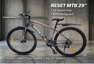 Reset 29" Mountain Bike