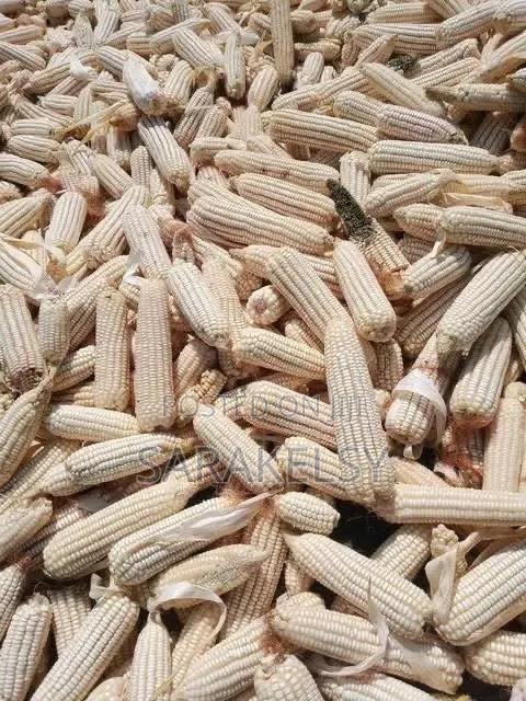 Dry Maize for Ugali