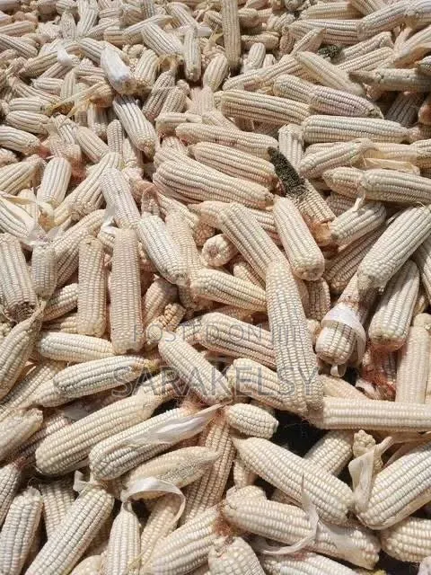 Dry Maize for Ugali