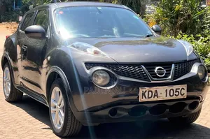 Nissan Juke 2013