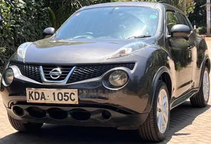 Nissan Juke 2013